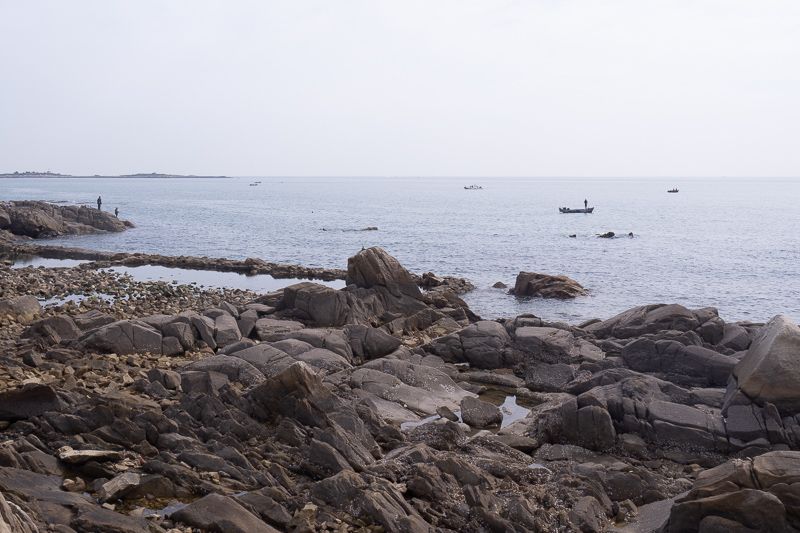 青岛红瓦绿树与海湾城市景观实拍