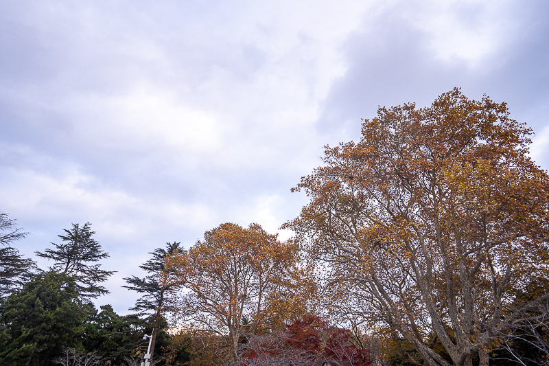 青岛景点实拍·青岛旅游景点 (103)｜青岛 5 座轿车包车能坐几个人?2–4 人出行选车指南