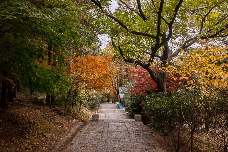 青岛景点实拍·青岛景点 (62)｜青岛地接导游怎么选:持证导游讲解标准