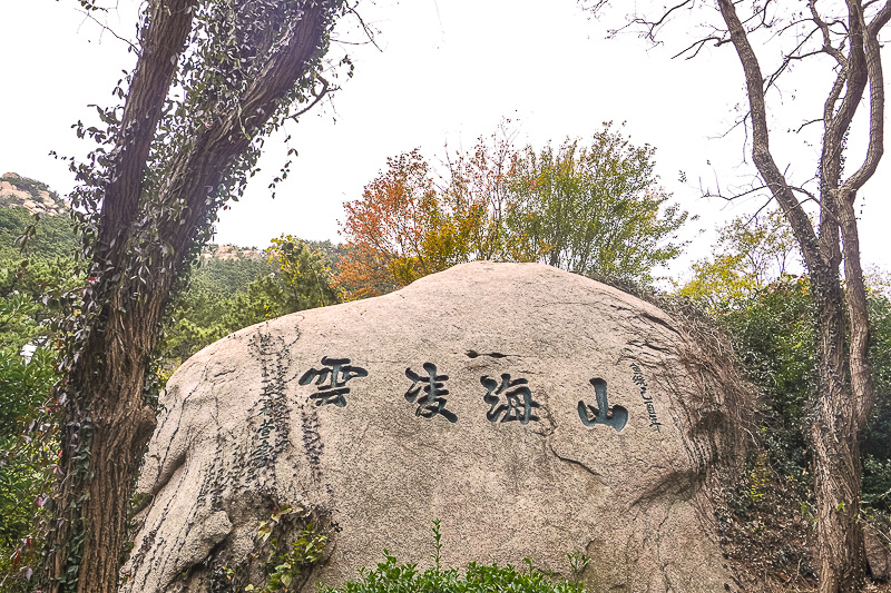 青岛景点实拍·青岛景区图片   (148)｜青岛别克 GL8 包车价格:7 座商务 600 元起/天适合谁