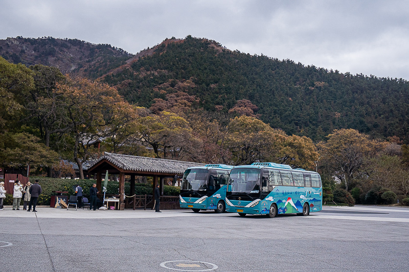山东旅游包车带司机安全吗?选车选人要点