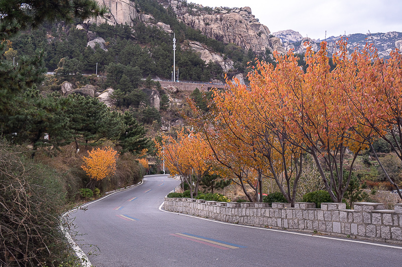 青岛景点实拍·青岛景区图片   (142)｜青岛旅游包车带司机多少钱?5–56 座全覆盖报价