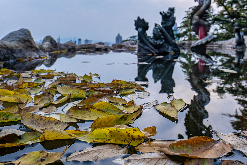 青岛景点实拍·青岛景点 (85)