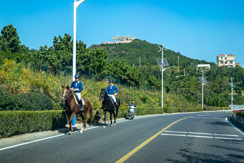青岛景点实拍·青岛景点 (117)｜正规旅游合同应该有哪些条款