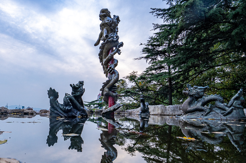 青岛景点实拍·青岛景点 (83)｜青岛 13 座轻客包车多少钱一天?两三家结伴出行怎么订