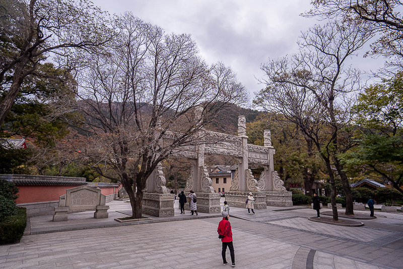 青岛景点实拍·青岛旅游景点 (125)｜青岛奔驰威霆 9 座包车价格:1200 元起/天能坐几个人